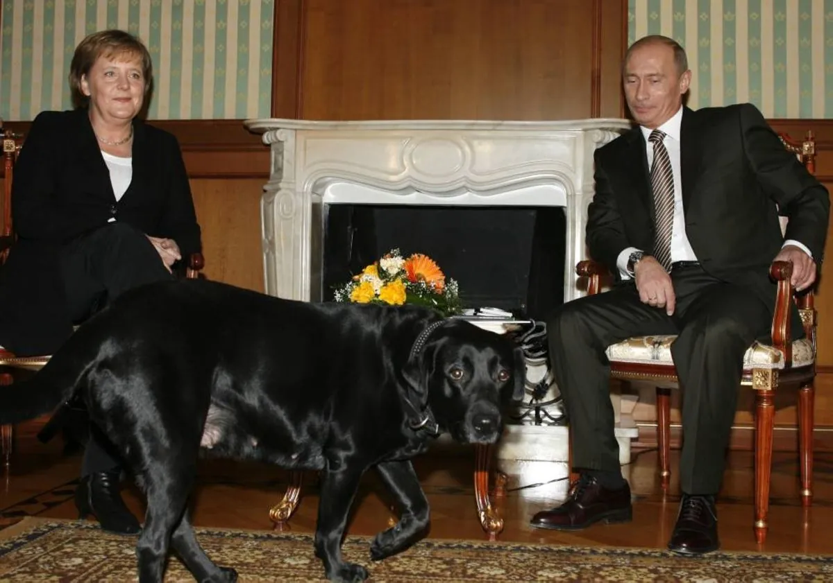 Putin explains old dog drama with Merkel after her new book comes out