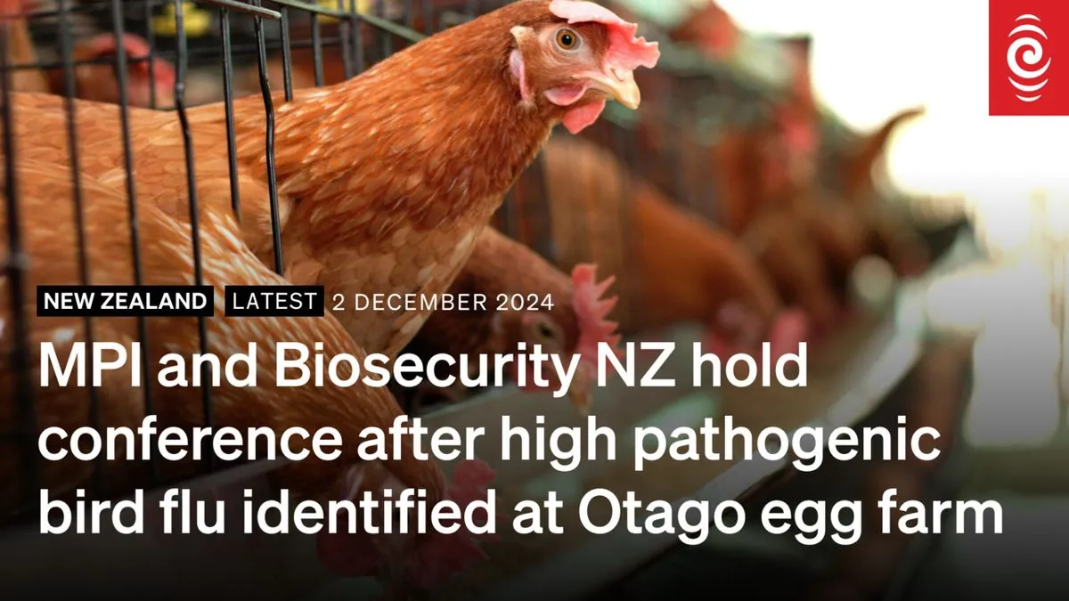 New Zealand halts chicken exports as rare bird flu hits southern farm