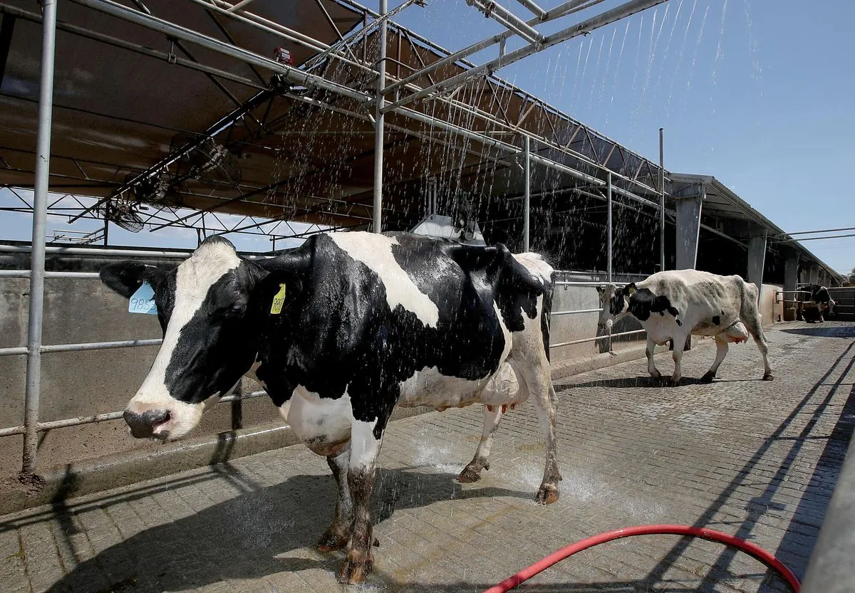 Raw milk giant stops sales as bird flu hits California dairy industry