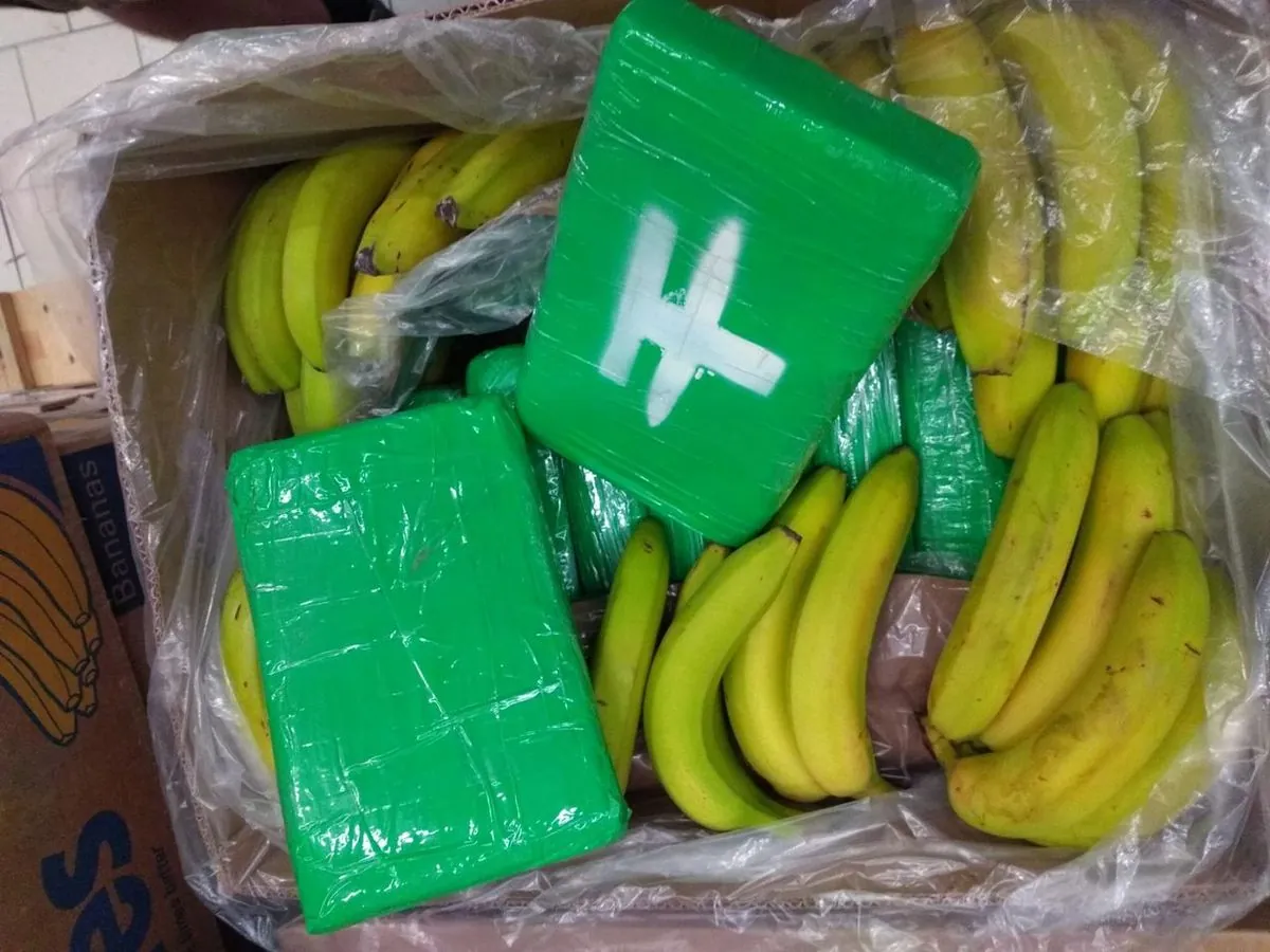 Record-breaking drug bust: Huge cocaine stash found in Dominican banana cargo