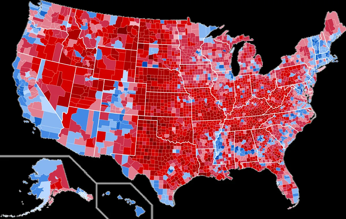 dictionary-picks-surprising-word-that-explains-americas-split-after-2024-election