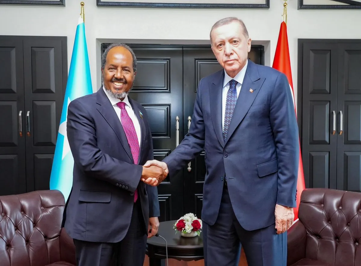 Somalia and Ethiopia's port dispute brings leaders to Turkey for crucial talks